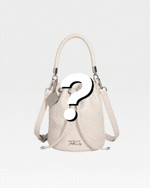 Mystery Purse